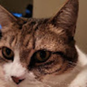 Meet your Posher, Sam